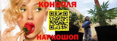 наркотики Кингисепп