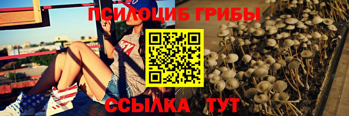 Чернушка  где купить наркотик  Вход с VPN  Псилоцибиновые грибы ЛСД 
